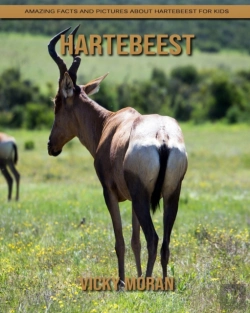 Bertrand.pt - Hartebeest