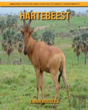 Hartebeest