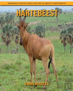 Bertrand.pt - Hartebeest