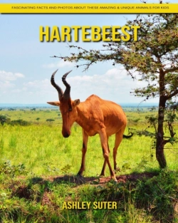 Bertrand.pt - Hartebeest