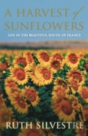 Harvest Of Sunflowers A