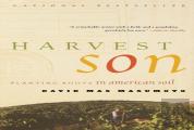 Harvest Son