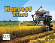 Harvest Time