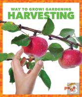 Harvesting