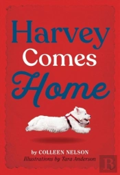 Harvey Comes Home
