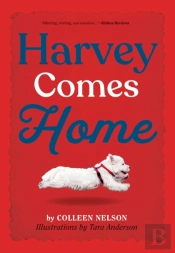 Harvey Comes Home