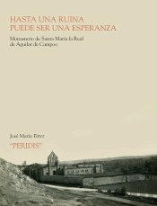 Hasta Una Ruina Puede Ser Una Esperanza
