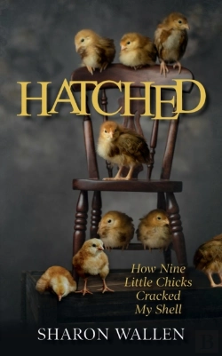 Bertrand.pt - Hatched