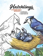 Hatchlings
