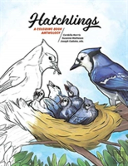 Bertrand.pt - Hatchlings