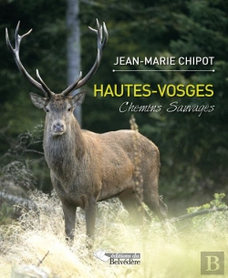 Bertrand.pt - Hautes-Vosges ; Chemins Sauvages