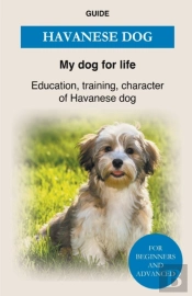 Havanese Dog