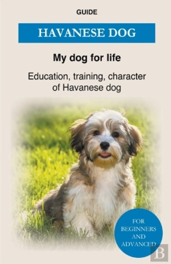 Bertrand.pt - Havanese Dog