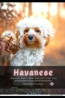 Havanese