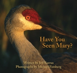 Bertrand.pt - Have You Seen Mary?