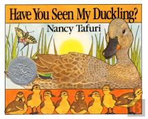 Have You Seen My Duckling?