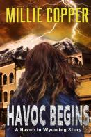 Havoc Begins