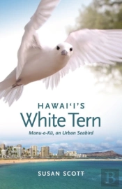 Hawai I S White Tern 12549