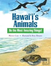 Hawaii'S Animals Do The Most Amazing Things