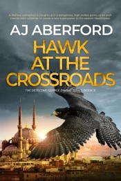 Hawk At The Crossroads