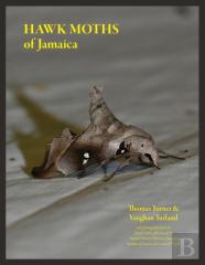 Hawk Moths Of Jamaica