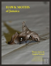 Hawk Moths Of Jamaica