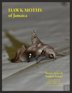 Bertrand.pt - Hawk Moths Of Jamaica