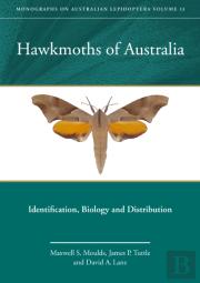 Hawkmoths Of Australia