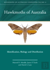 Hawkmoths Of Australia