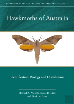 Bertrand.pt - Hawkmoths Of Australia