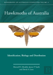 Hawkmoths Of Australia