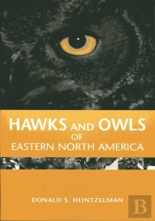 Hawks And Owls Of Eastern North America