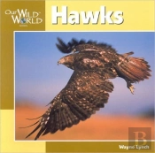Hawks