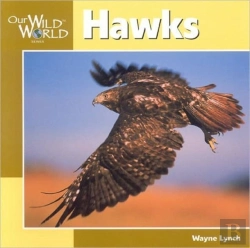 Bertrand.pt - Hawks