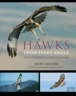 Bertrand.pt - Hawks From Every Angle