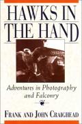 Hawks In The Hand