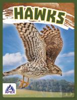 Hawks