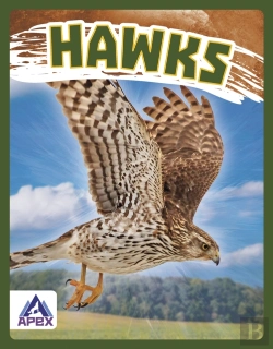 Bertrand.pt - Hawks