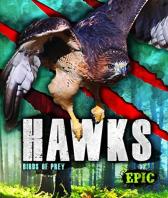 Hawks