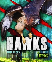Hawks
