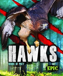 Bertrand.pt - Hawks