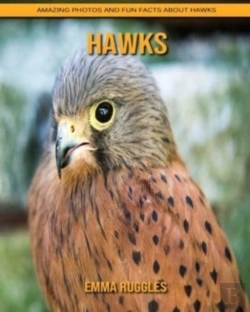 Bertrand.pt - Hawks
