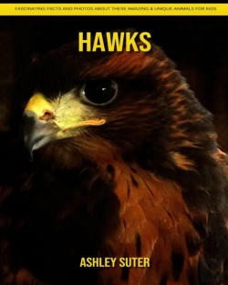 Bertrand.pt - Hawks