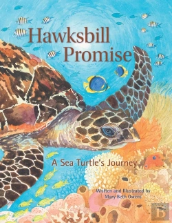 Bertrand.pt - Hawksbill Promise