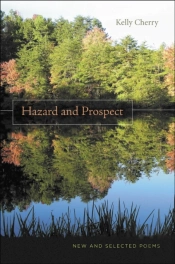 Hazard And Prospect