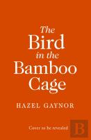 Hazel Gaynor Untitled Book 1