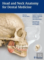 Head And Neck Anatomy For Dental Medicine