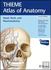 Head, Neck, and Neuroanatomy