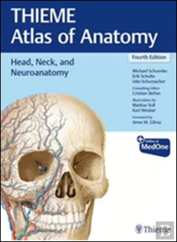 Bertrand.pt - Head, Neck, and Neuroanatomy