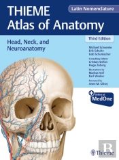 Head, Neck, And Neuroanatomy (Thieme Atlas Of Anatomy), Latin Nomenclature
